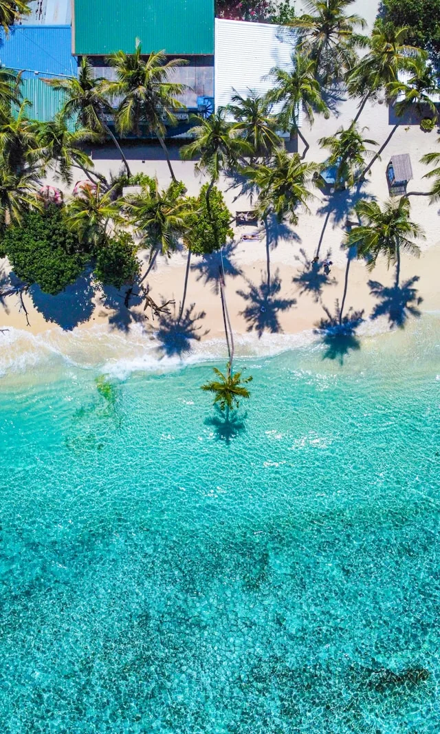 Speedboat transfers to resorts in Alif Alif Atoll